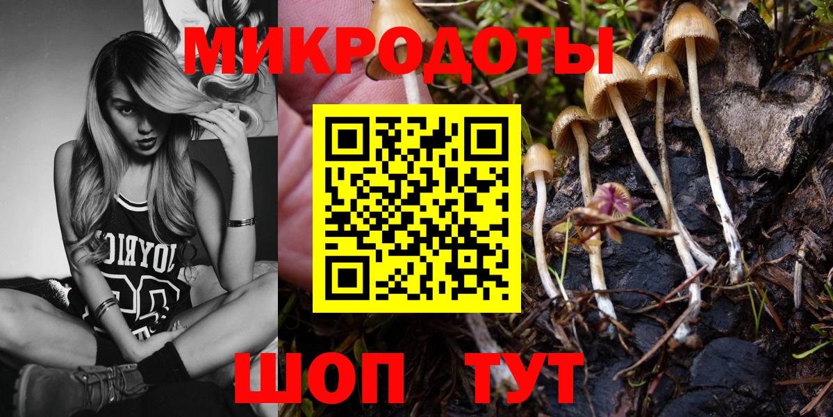 Черногорск  Галлюциногенные грибы GOLDEN TEACHER  Вход с VPN 